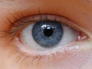 Dry Eye Diagnostics and Treatment