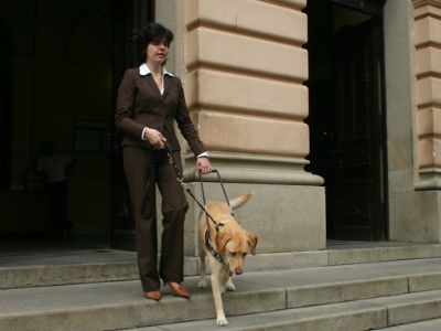  Lighthouse Guild, RNIB Collaborate to Empower People Who Are Visually Impaired