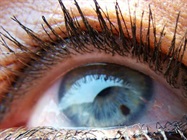 Substance P in Tears a Potential Biomarker for Diabetes-Related Nerve Damage