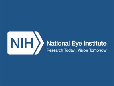  Study Suggests Innate Immune System Can Slow Degenerative Eye Disease