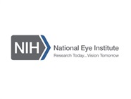 Common Questions and Answers for Eye Protection from UV Light